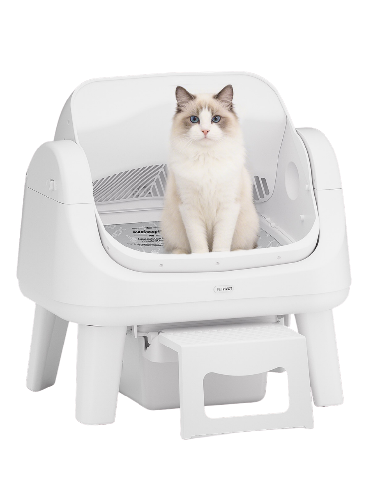 White PetPivot AutoScooper 12 Lite open-top sifting litter box with front step and a cat, viewed from the front.