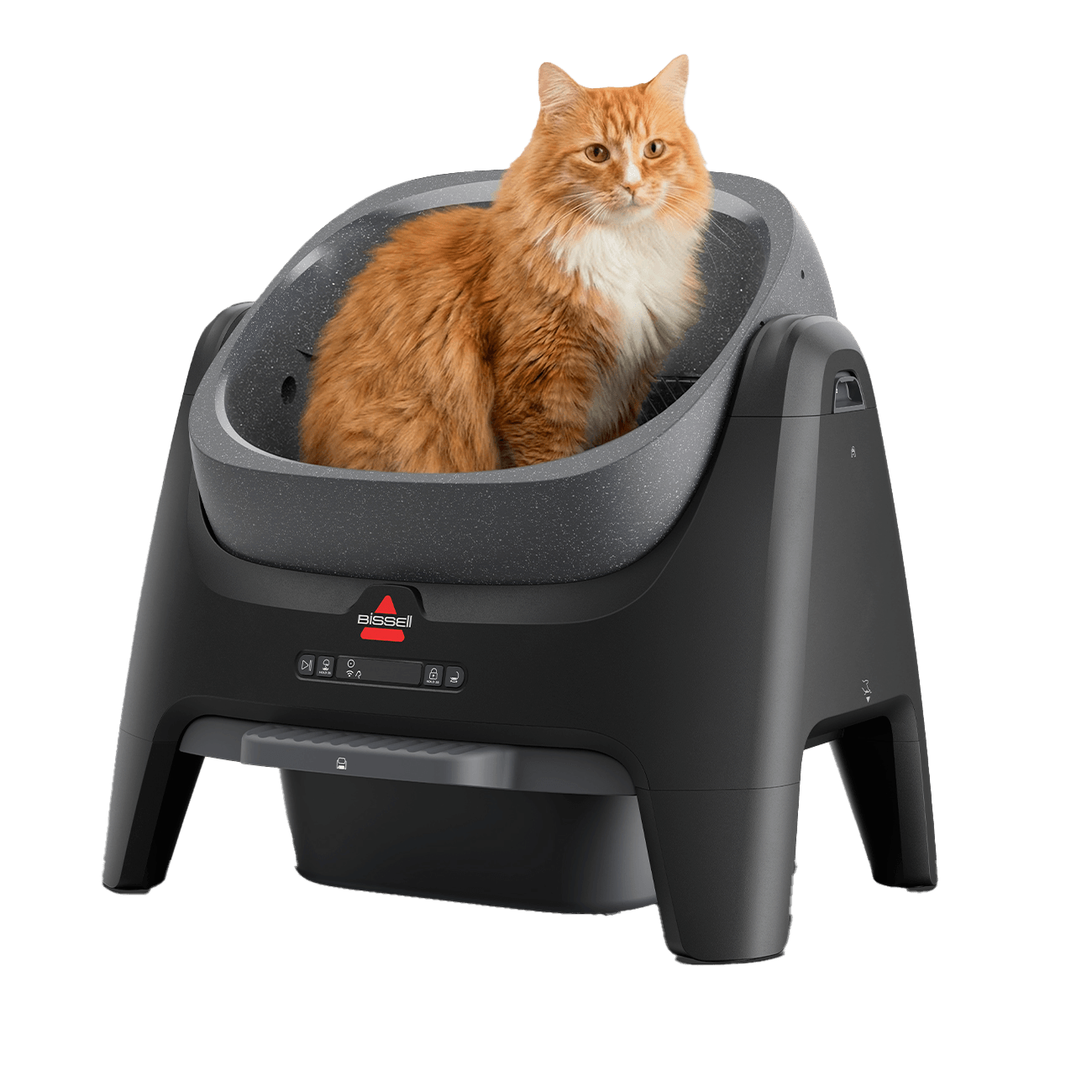 BISSELL CleanWell 4393 open-top black self-cleaning litter box with a staged orange cat composited in the rotating drum.