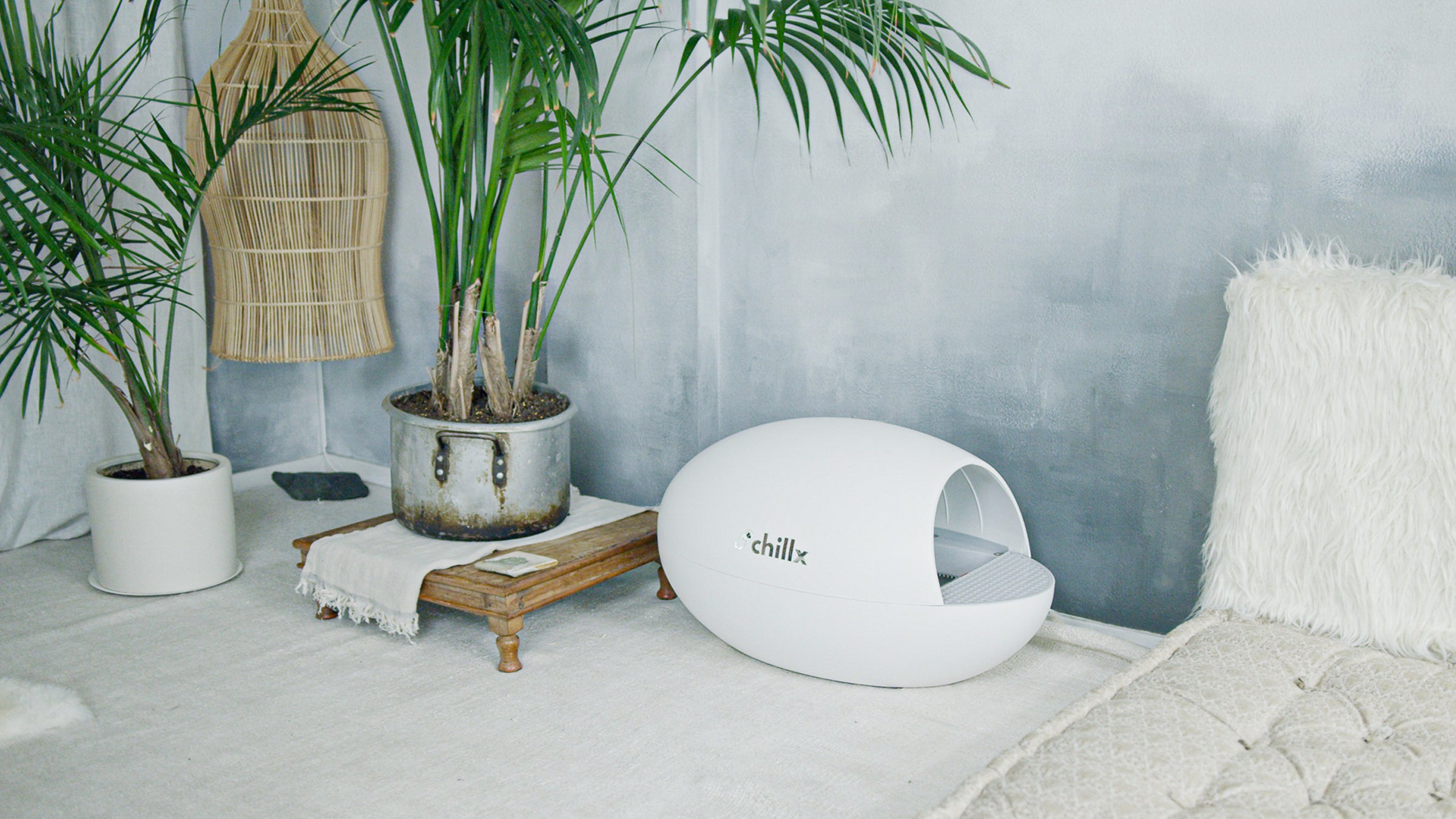 White ChillX AutoEgg hooded litter box pictured in a styled room; official marketing composite, not a hands-on photograph.