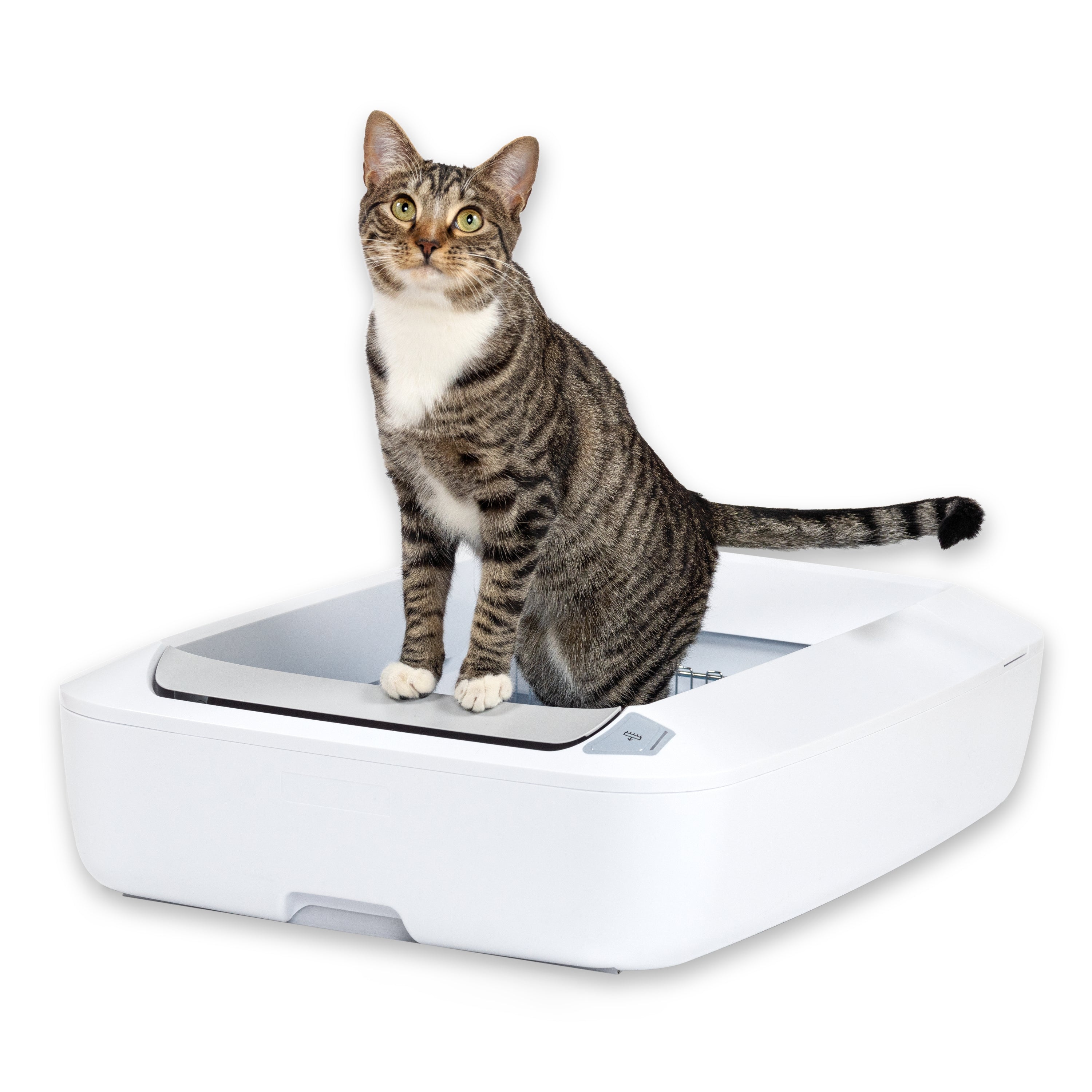 Open white PetSafe ScoopFree Crystal Plus tray with a tabby cat; the manufacturer composite also includes a smartphone graphic.