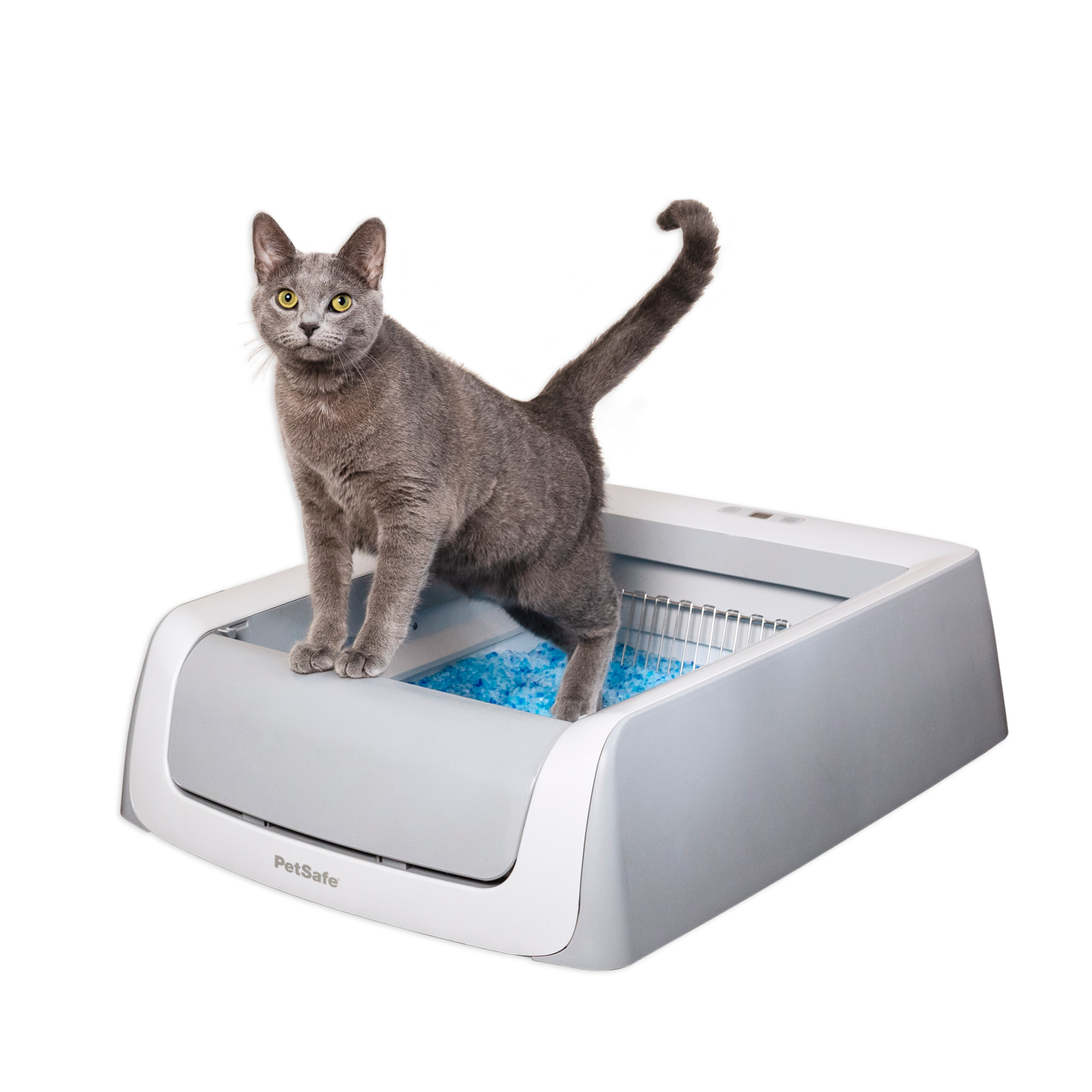 Uncovered white PetSafe ScoopFree Crystal Pro Legacy tray with a gray cat standing over blue crystals; manufacturer product composite.