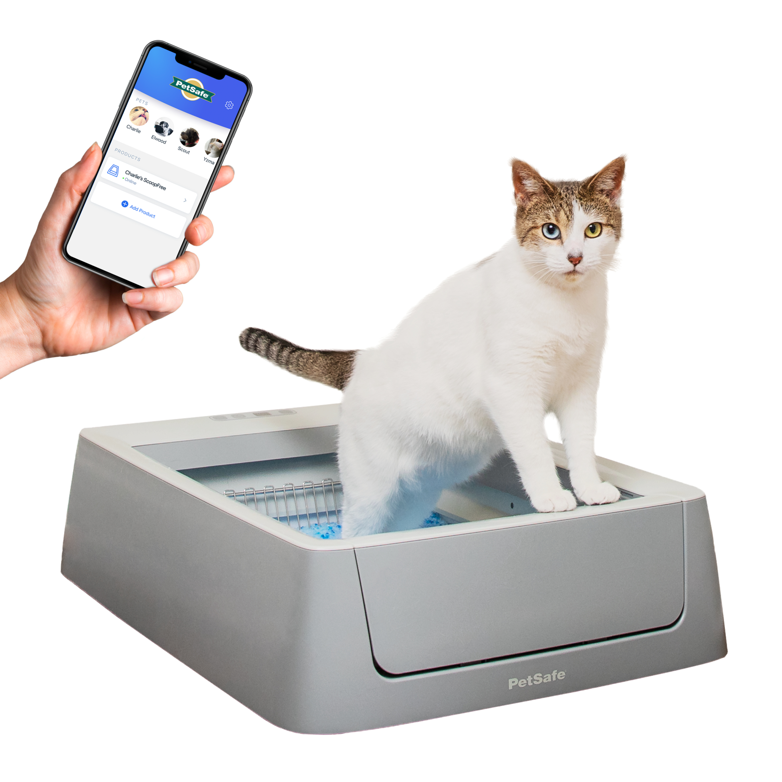 Uncovered white PetSafe ScoopFree Crystal Smart tray with a cat and smartphone app graphic; manufacturer composite.