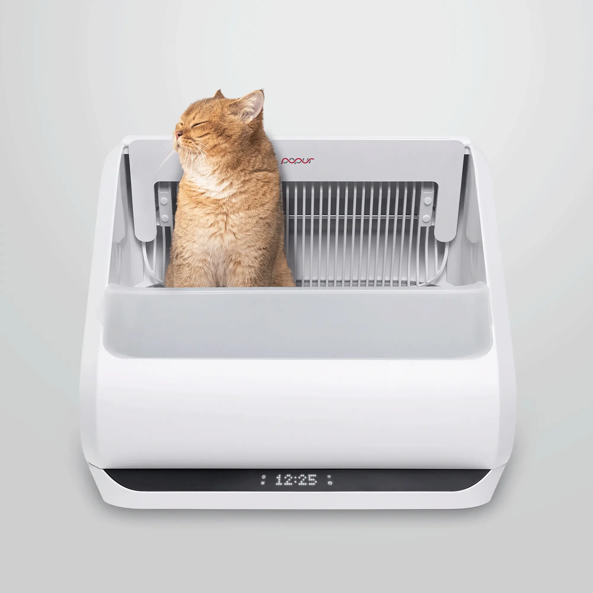 Manufacturer marketing artwork of the Popur X5 open-top litter sifter with a cat.