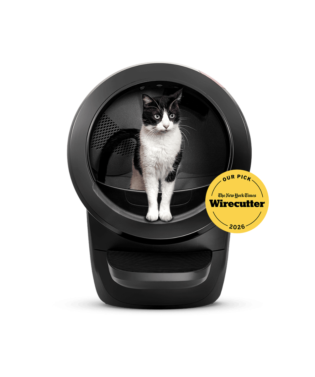 Black Whisker Litter-Robot 4 with a cat in the opening, front view.