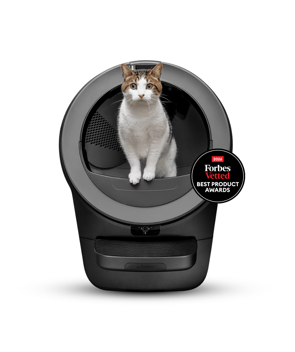 Black Whisker Litter-Robot 5 Pro with a cat in the opening, front view.