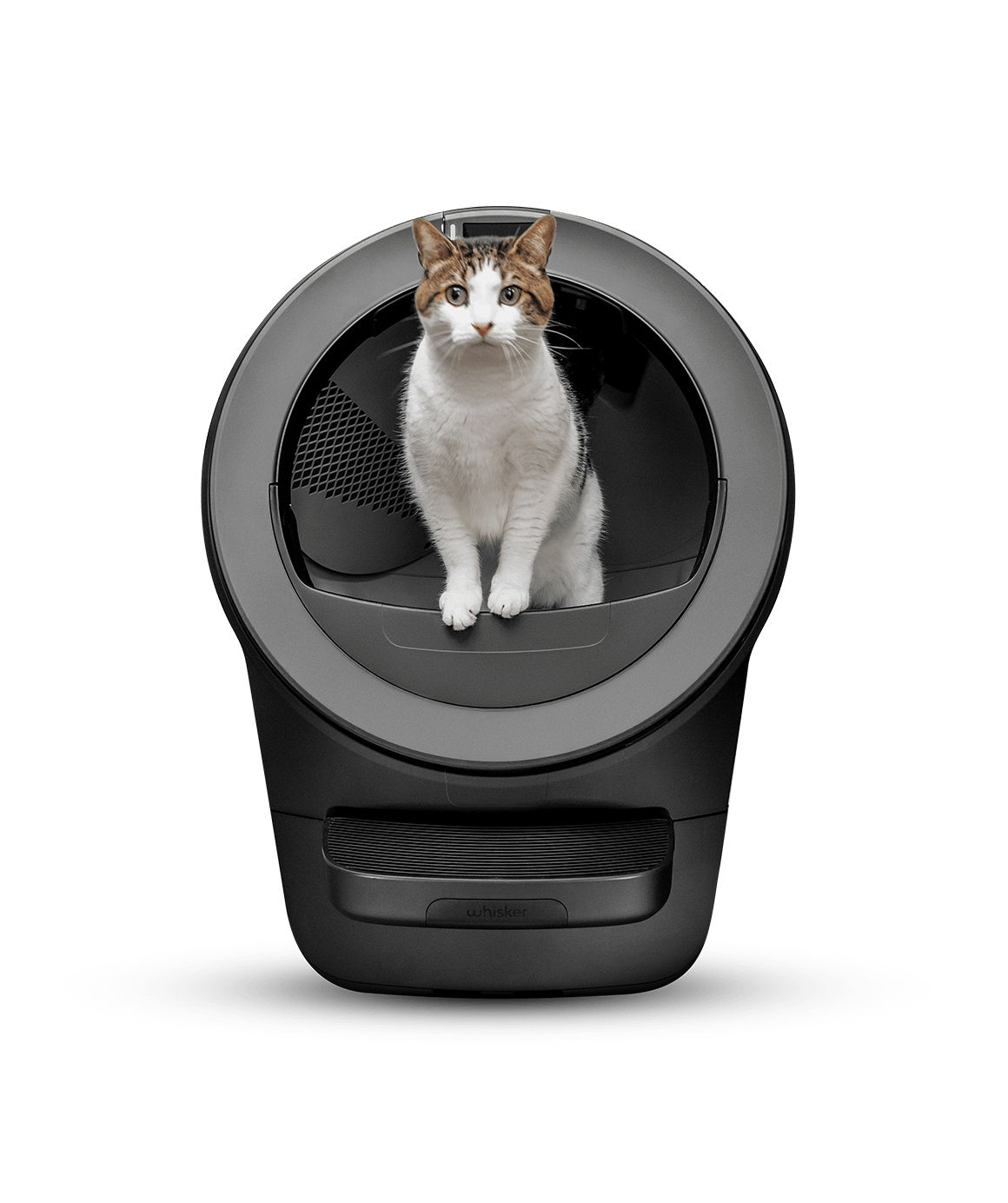Black Whisker Litter-Robot 5 with a cat in the opening, front view.