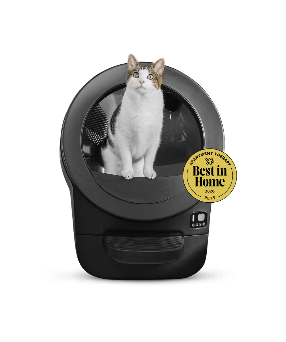 Black Whisker Litter-Robot EVO with a cat in the opening, front view.